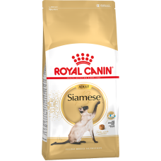 Siamese Royal Canin